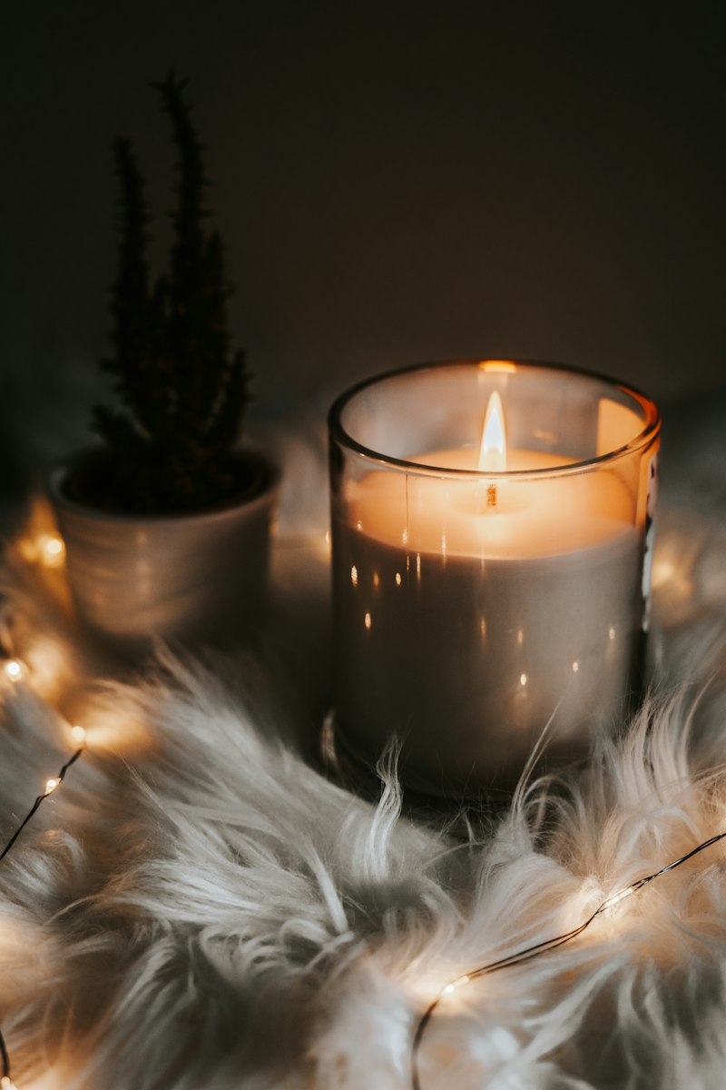 Midnight Amber & Cedarwood